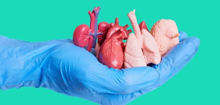 Captação, Doação e Transplante de Órgãos e Tecidos