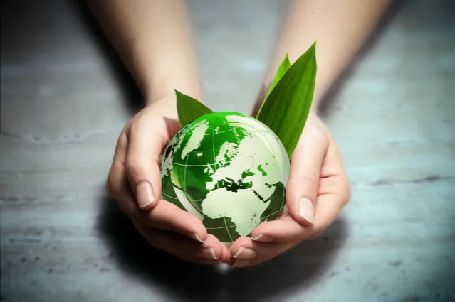Gestão Ambiental