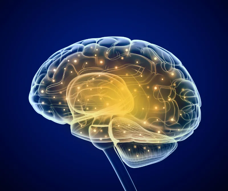 Neurofisiologia Clínica