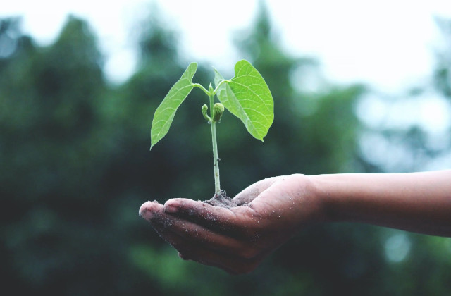 Gestão Agrícola<br> Sustentável