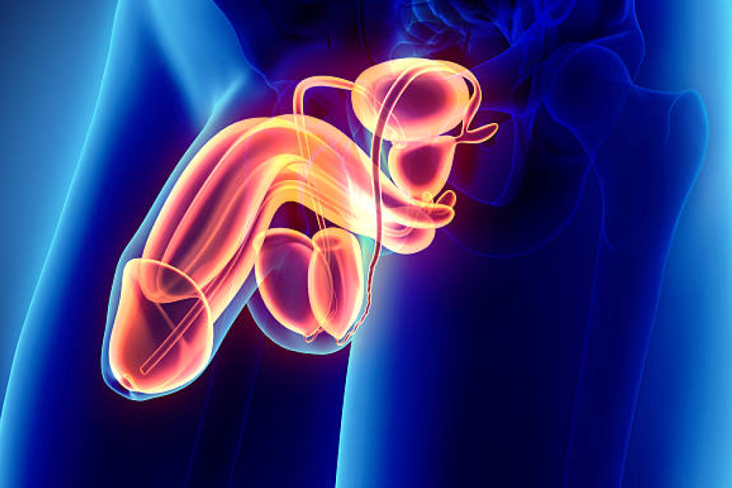 Ultrassom da bolsa escrotal