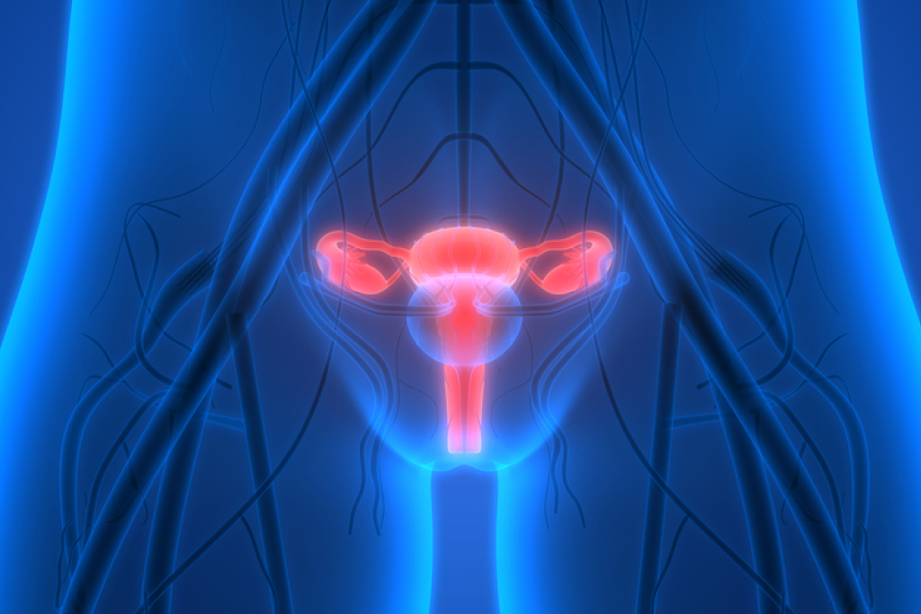 Ultrassom em ginecologia – Endométrio
